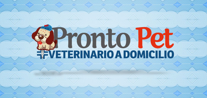 Veterinario a domicilio